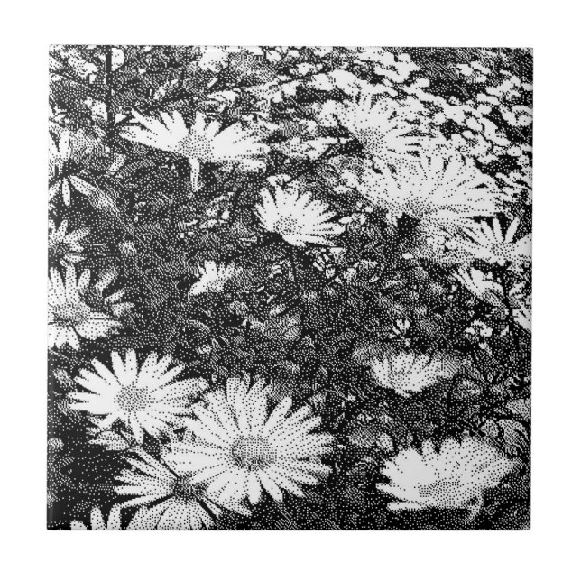 arte em pixéis preto e branco (Frente)