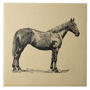 Arte Equestre Vintage Ilustrada