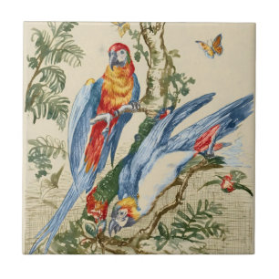 Arte Fina de Papagaio Tropical e Borboleta Antiga