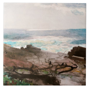 Arte fina, Sunshine and Shadow, Prout's Neck