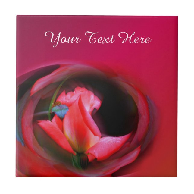 Arte Flor Rosa Rosebud (Frente)