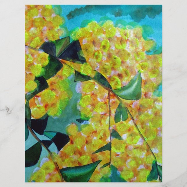 Arte floral australiana original de Wattle (Frente)