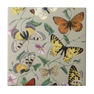 Arte Floral Botânica de Mariposa Borboleta Vintage