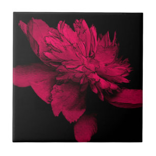 Arte floral da peônia vermelha