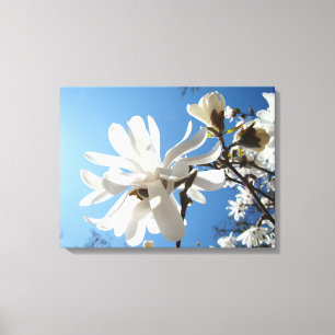 Arte floral de céu azul Impressões em tela Magnóli