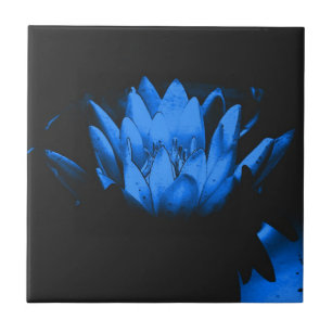 Arte Floral de Lótus Azul Brilhante