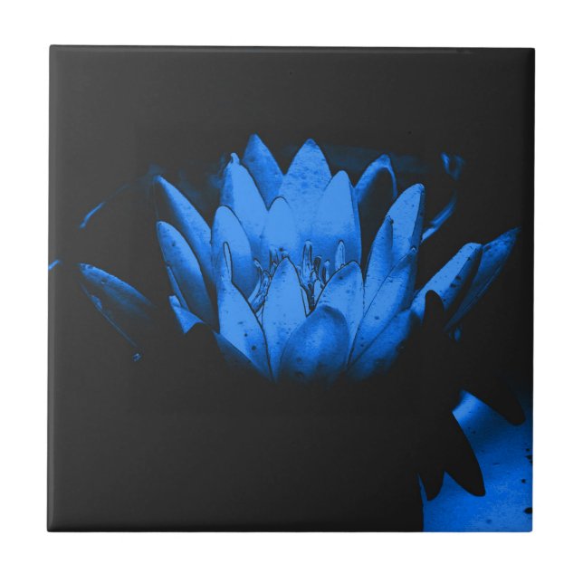 Arte Floral de Lótus Azul Brilhante (Frente)