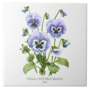 Arte Floral de Pansy Roxo em Estilo Botânico