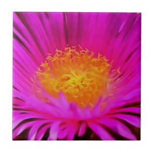 Arte Floral Magenta Rosa-Aster-Flor-Rosa