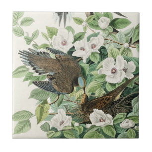 Arte Floral Vintage de Pombo-Mourning de Audubon