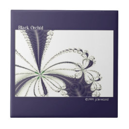 Arte Fractal de Floral Padrão Orquídea Preta