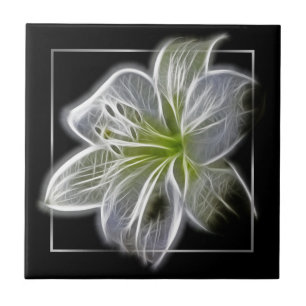 Arte Fractal de Lírio Branco Deslumbrante Preto