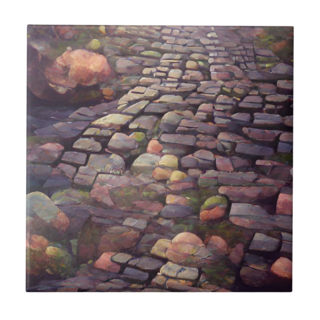 Arte gráfica de pedras para a mosca Cobblestones (Frente)