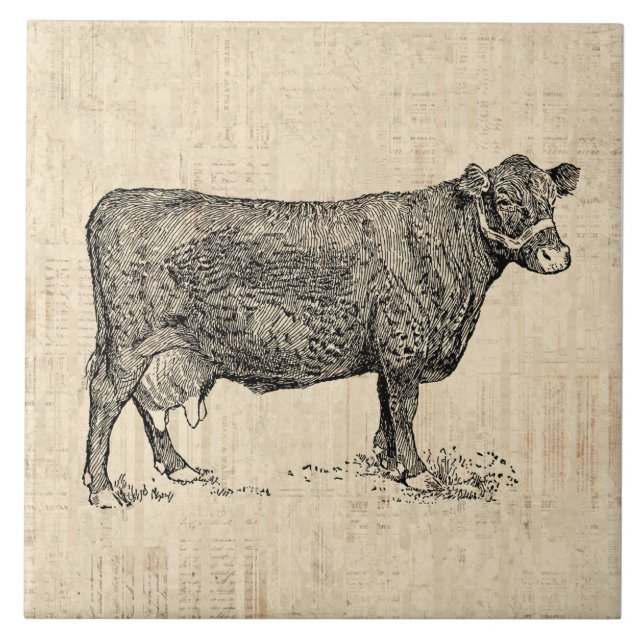 Arte Ilustrada De Vaca-País (Frente)