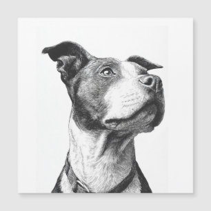 Arte Minimalista Pitbull Preto e Branco