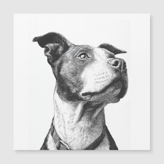 Arte Minimalista Pitbull Preto e Branco (Frente)