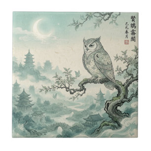 Arte Mística da Lua da Coruja Paisagem