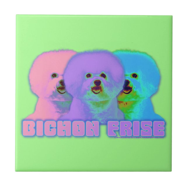 Arte Op - Bichon Frise - Cody (Frente)