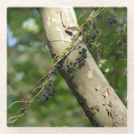 "Arte original das uvas selvagens" por KAS