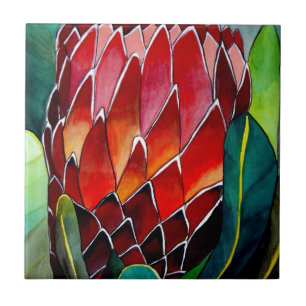 Arte original do watercolour da flor vermelha do