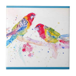 Arte papagaio Pintura Aquarela Teal