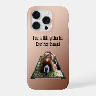 Arte Popout do Cavalier Spaniel,