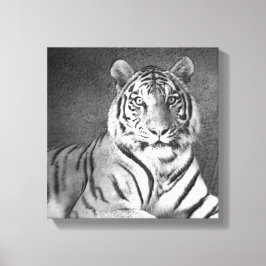 Arte Siberiana Tigre em Preto e Branco - Canvas