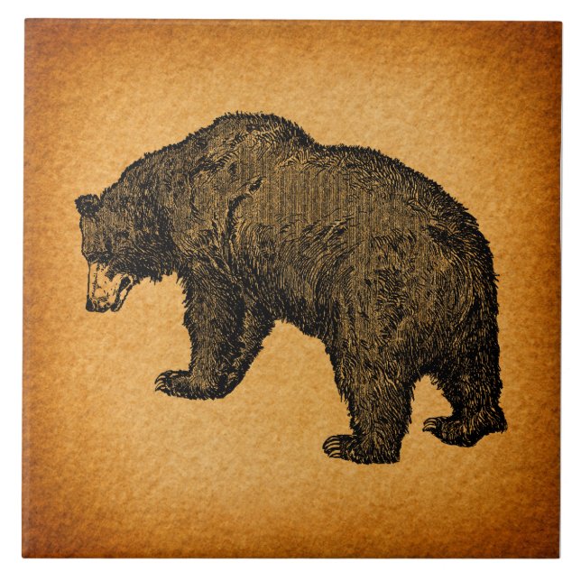 Arte Urso Ilustrada Rústica (Frente)