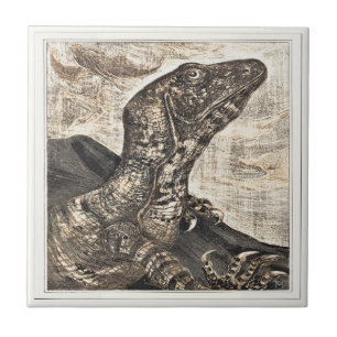 Arte Vitoriana Holandesa Réptil Iguana