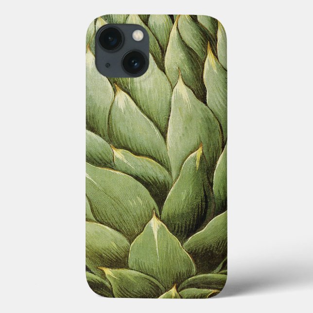 Artichoke, 1613 (Verso)
