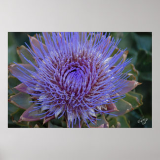 Artichoke Floral Impressão