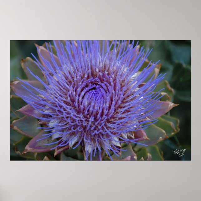 Artichoke Floral Impressão (Frente)
