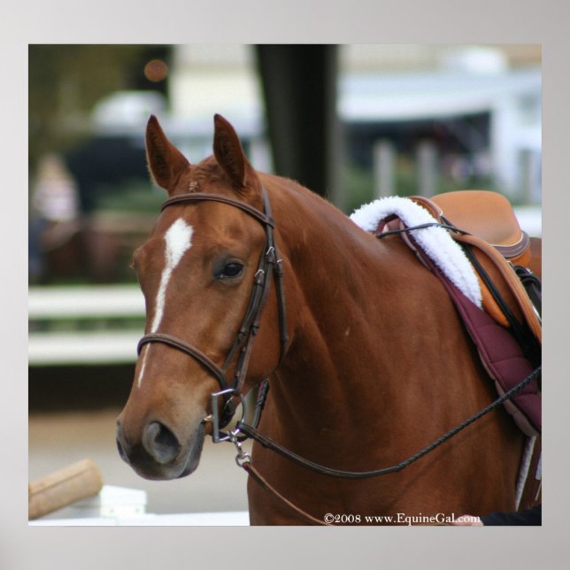 Artigo Diversificado Poster 2 (Frente)