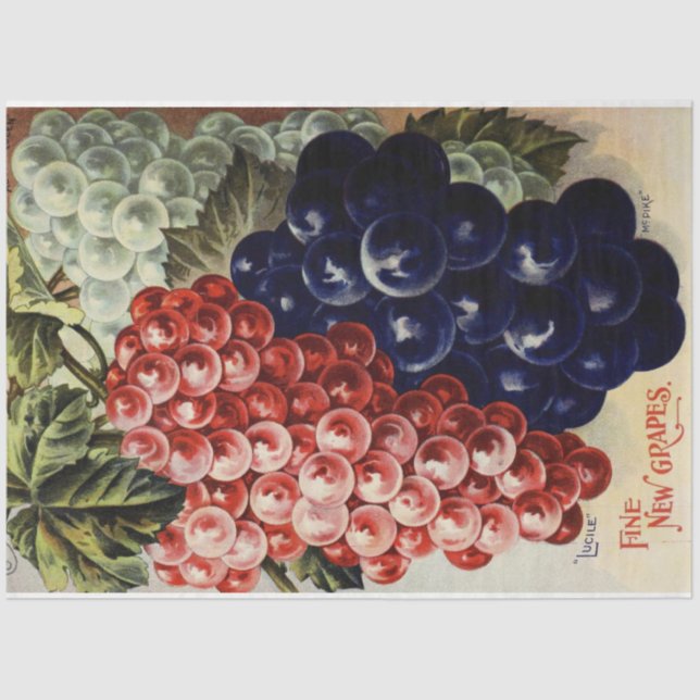 Artigo Nouveau Poster 25 Papel Tecido de Decoupage (Frente )