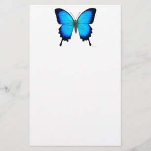 Artigos de papelaria azuis da borboleta de Papilio