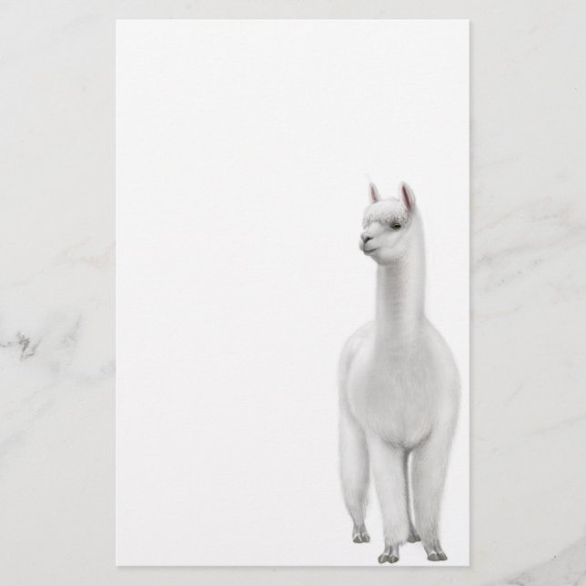 Artigos de papelaria da alpaca (Frente)