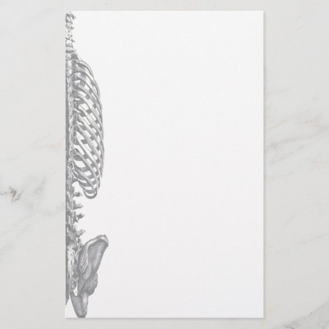 Artigos de papelaria da caixa torácica (Frente)