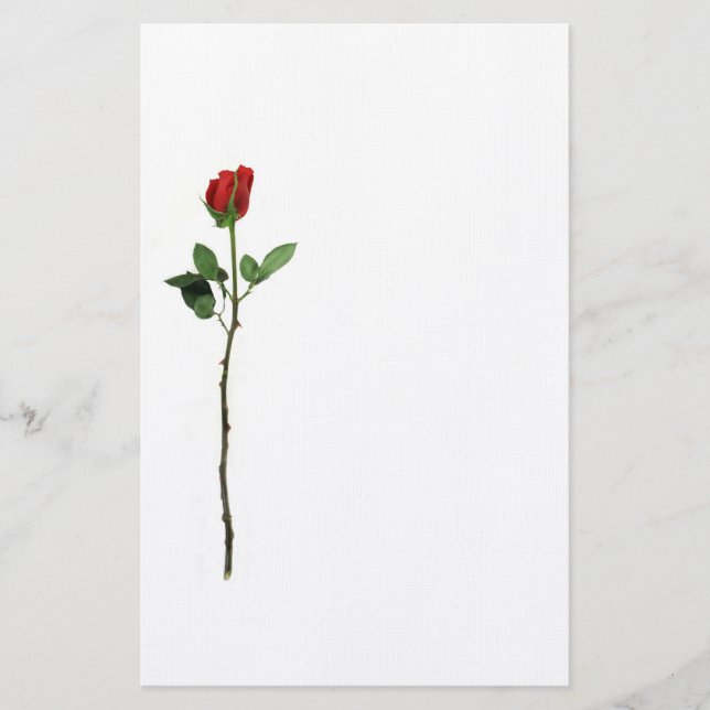 Artigos de papelaria da rosa vermelha (Frente)