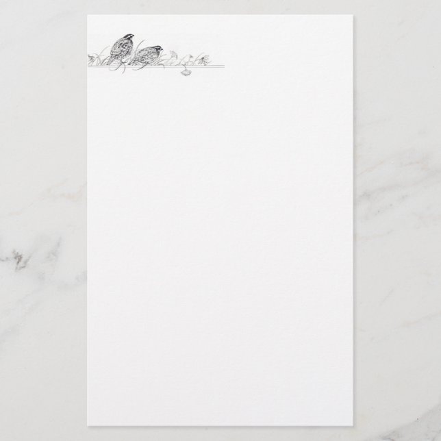 Artigos de papelaria das codorniz (Frente)