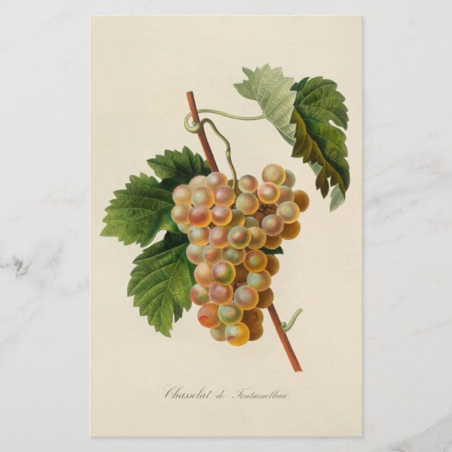 Artigos de papelaria de Chasselat de Fontainebleau (Frente)