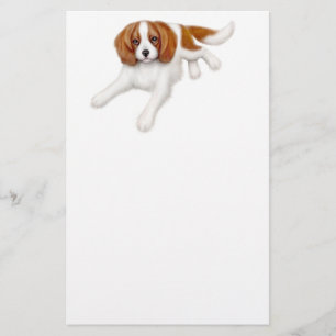 Artigos de papelaria descuidados do Spaniel de rei
