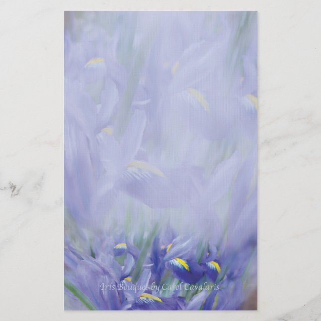 Artigos de papelaria do buquê da íris (Frente)