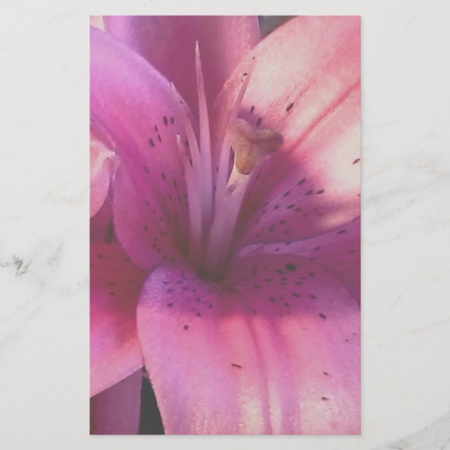 Artigos de papelaria do lírio (Frente)