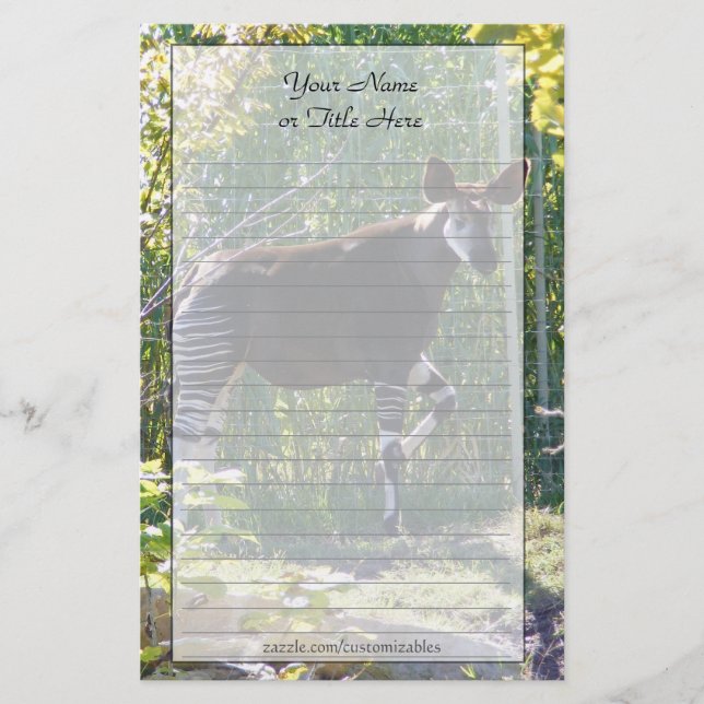 Artigos de papelaria do Okapi (Frente)