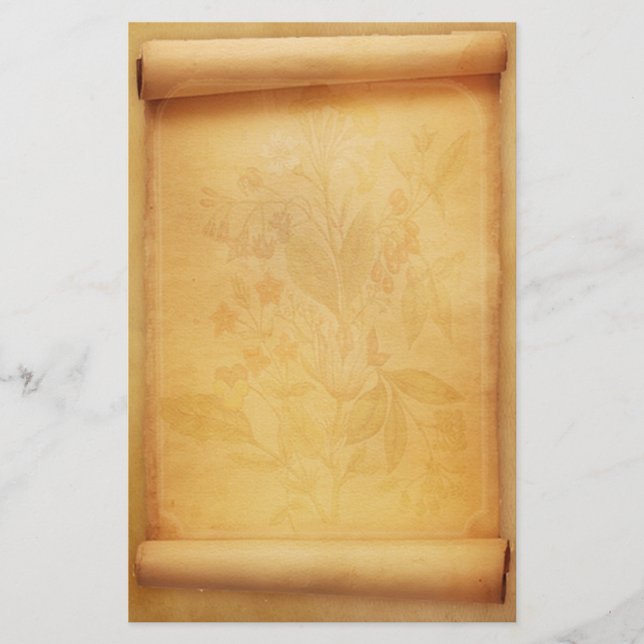 Artigos de papelaria do olhar do rolo do (Frente)