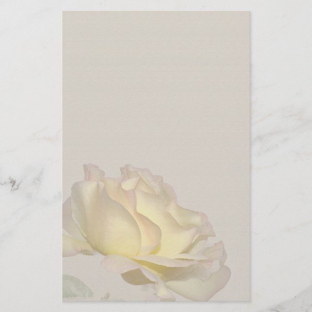 Artigos de papelaria do rosa amarelo (Frente)