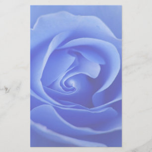 artigos de papelaria do rosa do azul