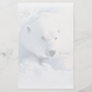 Artigos de papelaria do urso polar e da neve