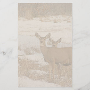 Artigos de papelaria dos cervos de Whitetail