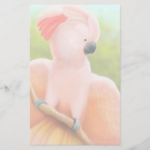 Artigos de papelaria molucanos do Cockatoo